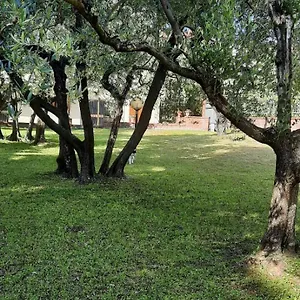 La Teodolinda Arezzo